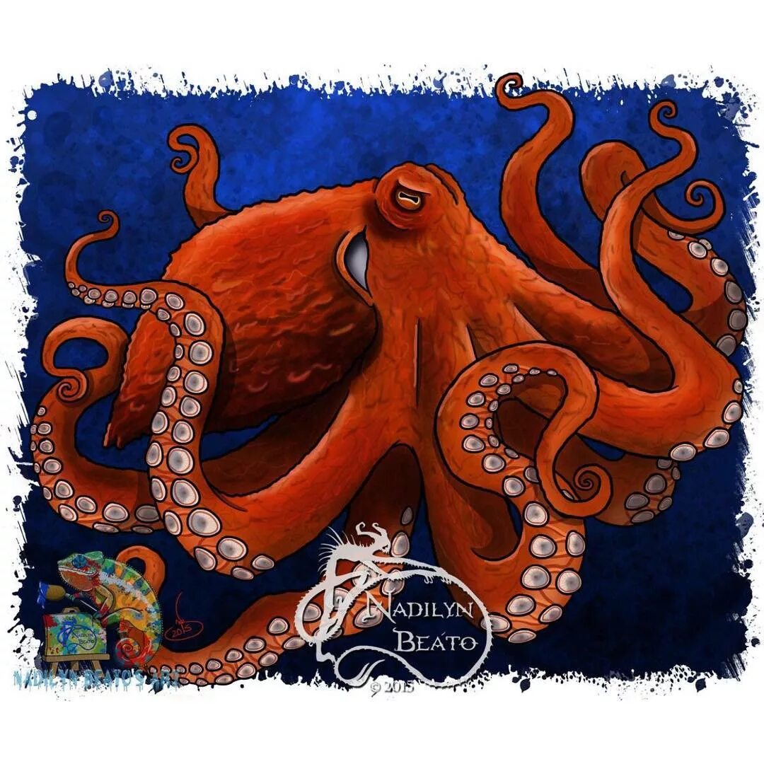 Nadilyn Beato 🎨 Wildlife Artist sur Instagram : A Giant Pacific Octopus fo...