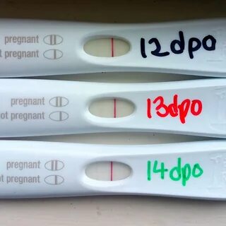 11 Dpo Negative Pregnancy Test Could I Still Be Pregnant - pregnancy test.