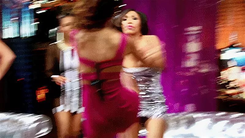 Catfight bgc GIF - Find on GIFER