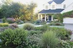 Yards Without Grass: Design Ideas For Your Landscape - This 