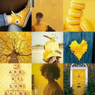 My Hufflepuff aesthetic for boys (With images) Hufflepuff ae