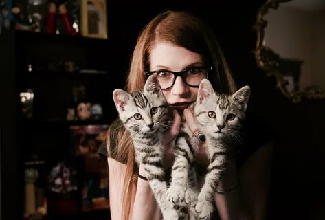 #kittenparty hashtag on Twitter (@morgankittie) — Twitter