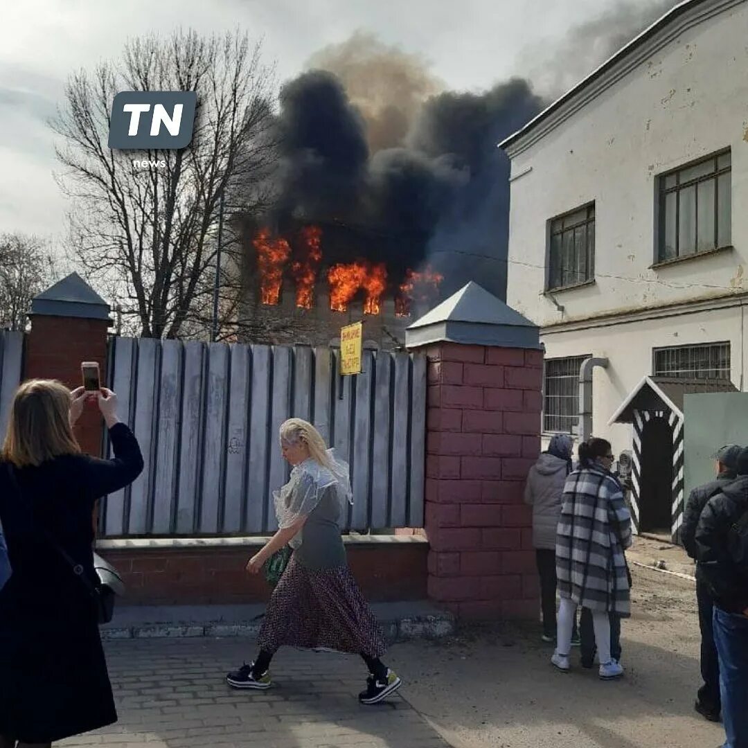 Видео из телеграмма николая фото 94