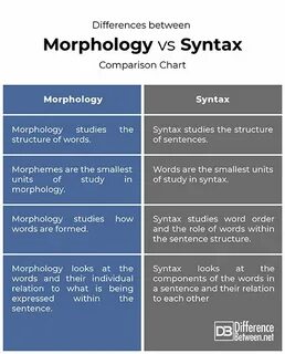 Pin on morphology