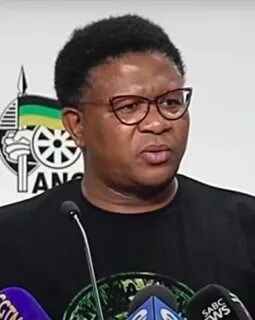 Fikile Mbalula - Wikipédia