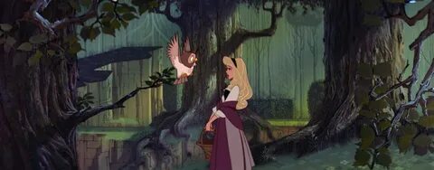Sleeping Beauty (1959) - Disney Screencaps.com Sleeping beau