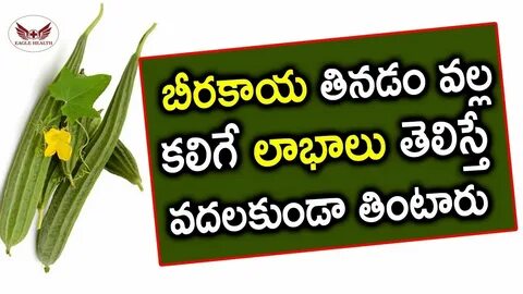 Health benefits of ridge gourd Beerakaya recipe Ridge gourd 