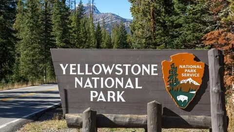 Yellowstone-Nationalpark im Wohnmobil - CU Camper