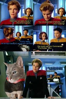 Star Trek Voyager - meme 6 by Torri012 Star trek voyager fun
