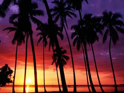 Tropical Islands Wallpapers Beach sunset wallpaper, Sunset w