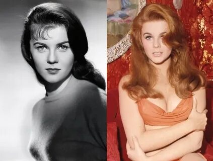 Ann-Margret The Natural Hair Colors of Hollywood Icons Purpl