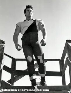 Daveland Steve Reeves Photos