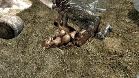 The Big ImageBoard (TBIB) - argonian gmod khajiit skyrim tag