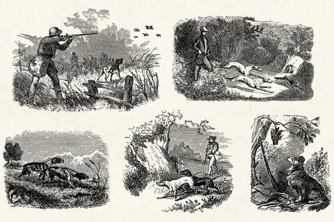 Hunting - Vintage Engraving Illustrations on Behance