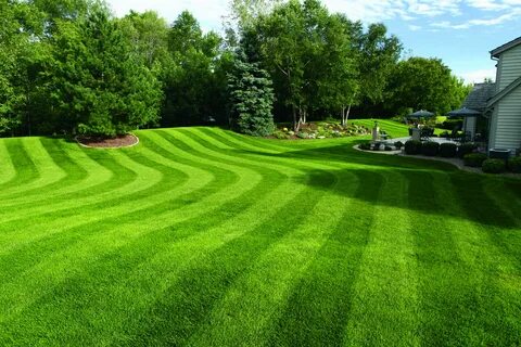 Lawn Striping: How to Mow Ballpark Grass Patterns in Your Ya