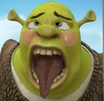 I couldn't find a pic of shrek ahegao so I became the change