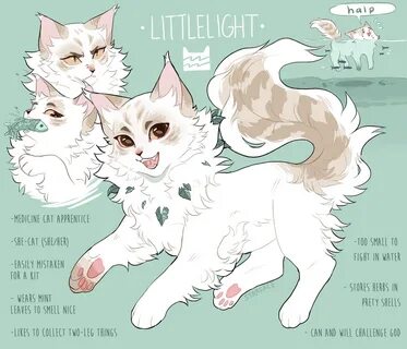 unique warrior cat designs - Wonvo