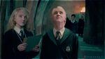 Draco + Luna * Oceans - Harry Potter Cast