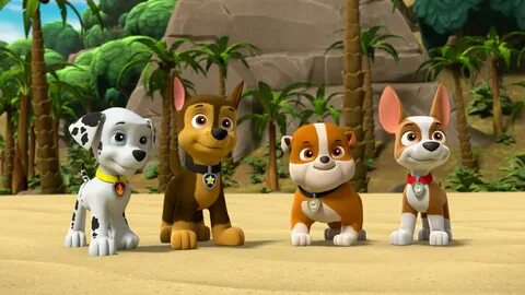 Paw Patrol - S6E1 - Pups Save the Jungle Penguins/Pups Save 