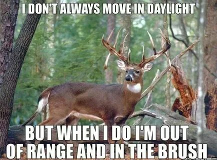 Pin by Darryl Orr on Buck Wild Deer hunting humor, Whitetail