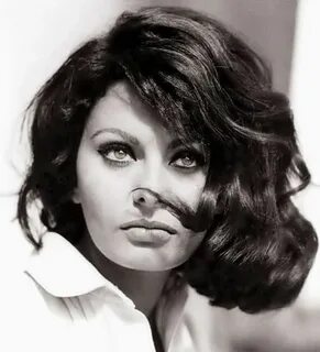 Sophia Loren. Is everything. Sophia loren, Beauty icons, Bea