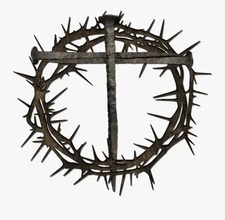 White Crown Of Thorns Related Keywords & Suggestions - White