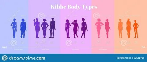 13 Kibbe body types stock vector. Illustration of styling - 