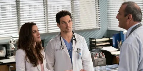 Grey's Anatomy' Recap: 'And Dream of Sheep' - Recap of Seaso