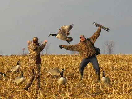 Duck Hunting Screensaver posted by Ryan Mercado