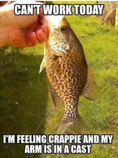 A few pics, Chezl, the last ones for you! Fishing memes, Fun