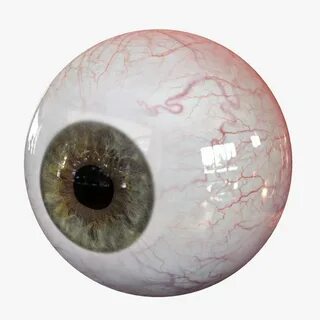 realistic human eye 3D Eyeball art, Eyeball drawing, Summer 