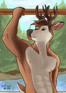 VolkteX 🔞 on Twitter: "A naked deer in the Forest Just enjoy