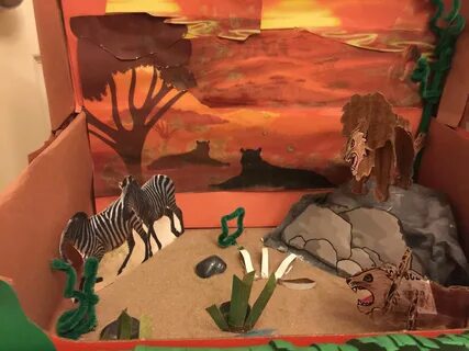 A lion's habitat..my son & I created this 3D project for sch