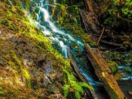 Rewarding Autumn Hike - Review of Mima Falls, Littlerock, WA