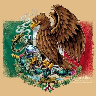 Drawn falcon mexico flag eagle - Pencil and in color drawn f