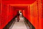 Wallpaper : Japan, temple, Asia, red, Asian, Japanese, torii