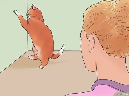 How to Calm a Cat in Heat: 11 Steps (with Pictures) Cat in h