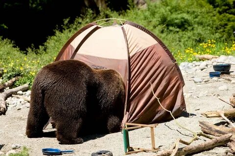 25 Ridiculous Camping Fails from Real Campers Just Like You