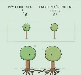 Wholesome trees - Funny Best funny pictures, Wholesome memes