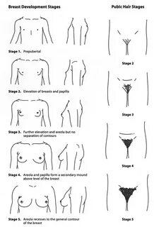 Best ideas about Pubic Hairstyles Female. 