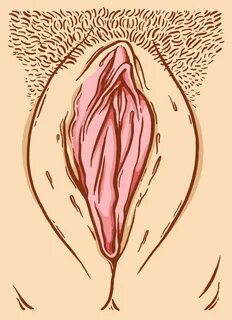 Royalty free vulva clip art