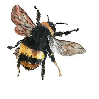 bee bumblebee art 294003486036211 by @ahr-tuh-mis