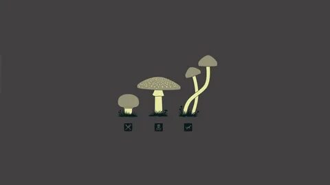 mushroom, Drugs, Minimalism Wallpapers HD / Desktop and Mobi