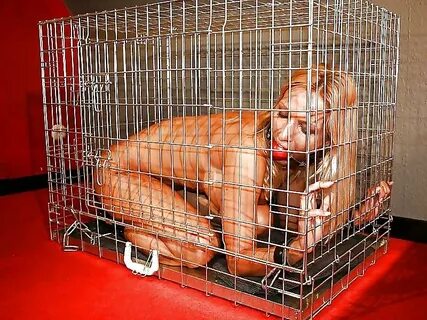 Girls in cages - Photo #2