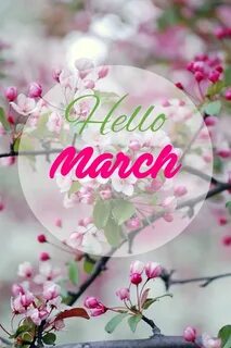 hello march Hello march, March month, Hello march images