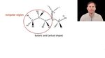 Polar and Nonpolar Molecules (Part 2) - YouTube