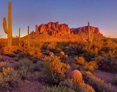 Apache junction, Arizona. Beautiful desert, sunsets and many