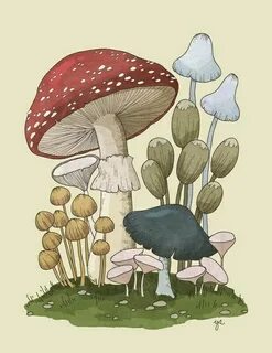 Pin on mushroom drawing
