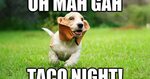 9 National Taco Day Memes That Celebrate Your Favorite Food