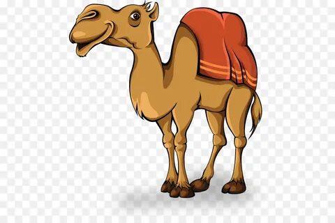 camel clipart - Clip Art Library